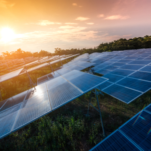 Beautiful sunset over Solar Farm