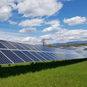 solar panels in a field