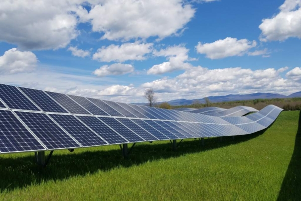 solar panels in a field