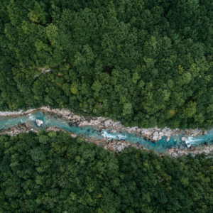 River flowing in the forest shown from an aerial view