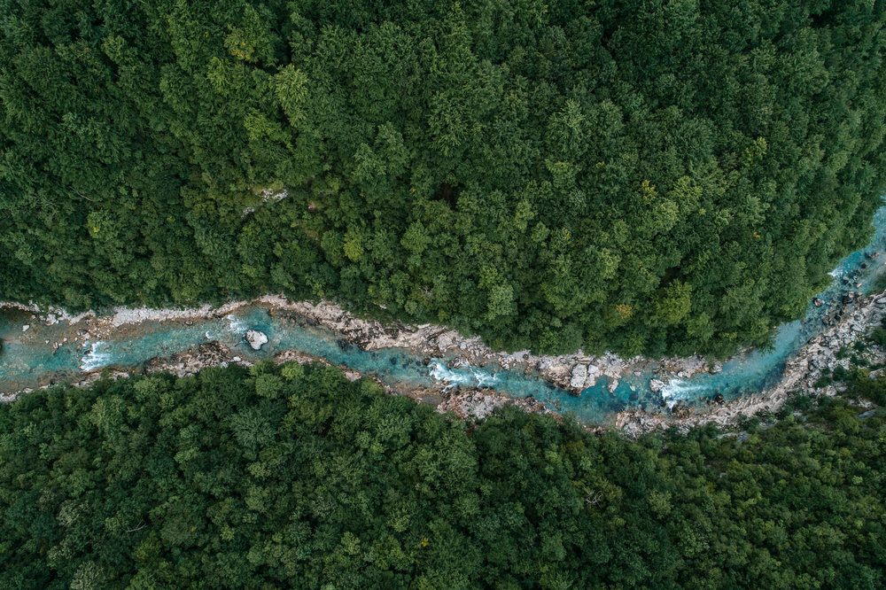 River flowing in the forest shown from an aerial view