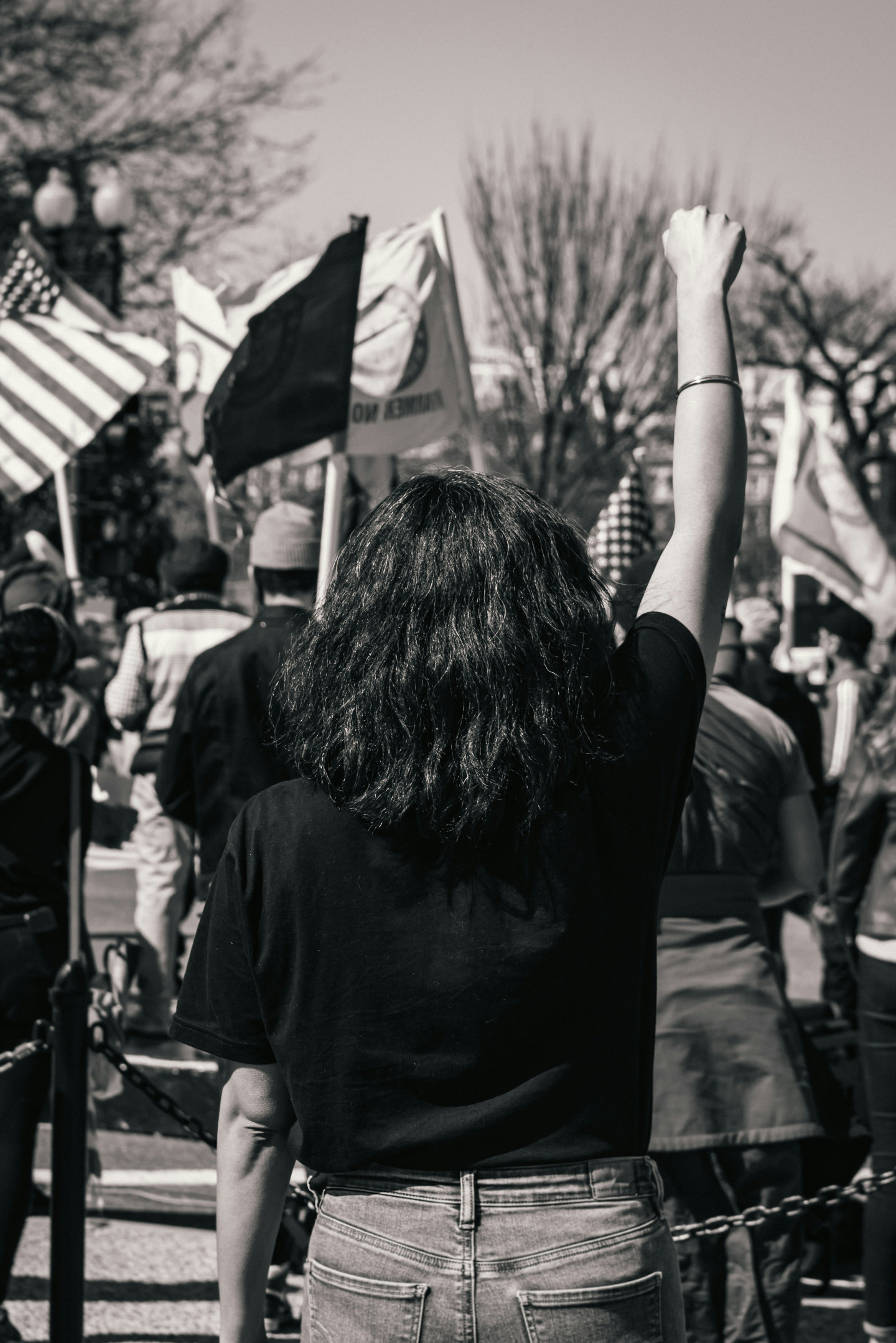 Persons viewed from behind as they raid their arm in a gathering. Flags and trees appear in the background.