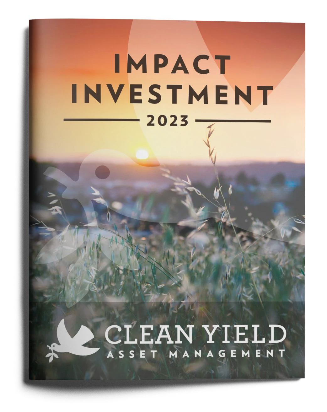 Book cover: "Impact Investment 2023, Clean Yield Asset Management"