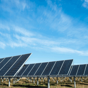 Solar panels article header image