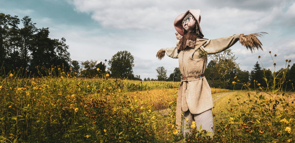 Clean Yield - Site Graphics (34)