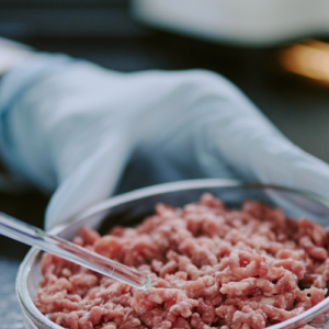 cultured meat in a laboratory setting