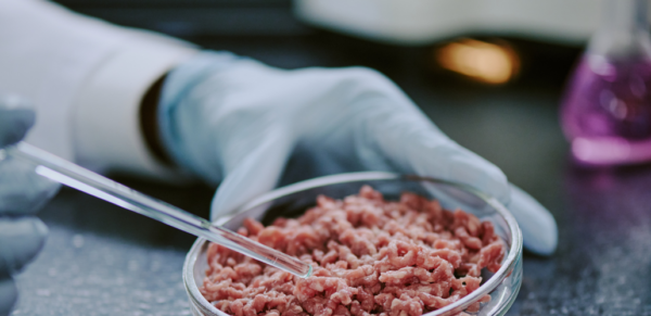 cultured meat in a laboratory setting