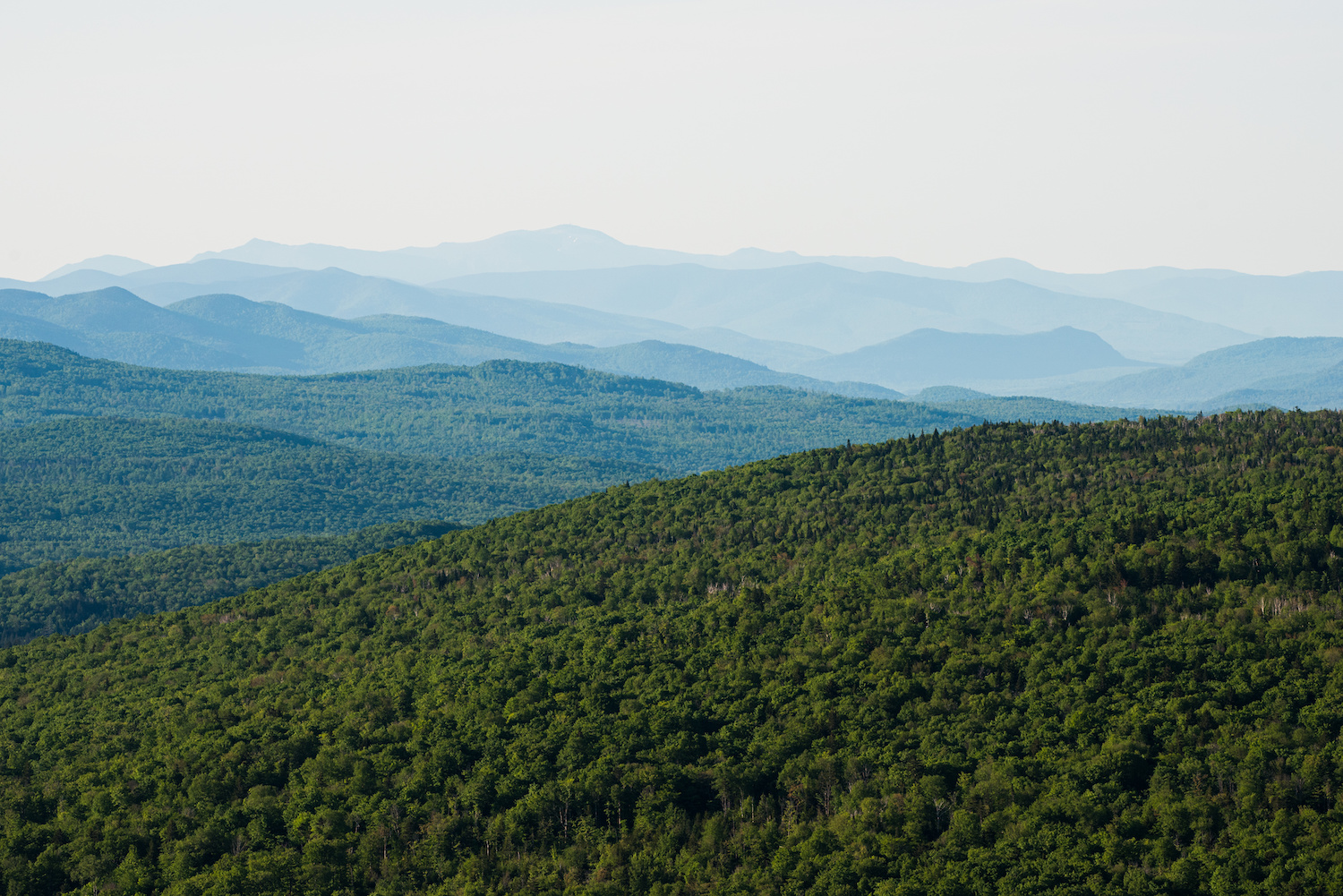 Forested Mountain photo