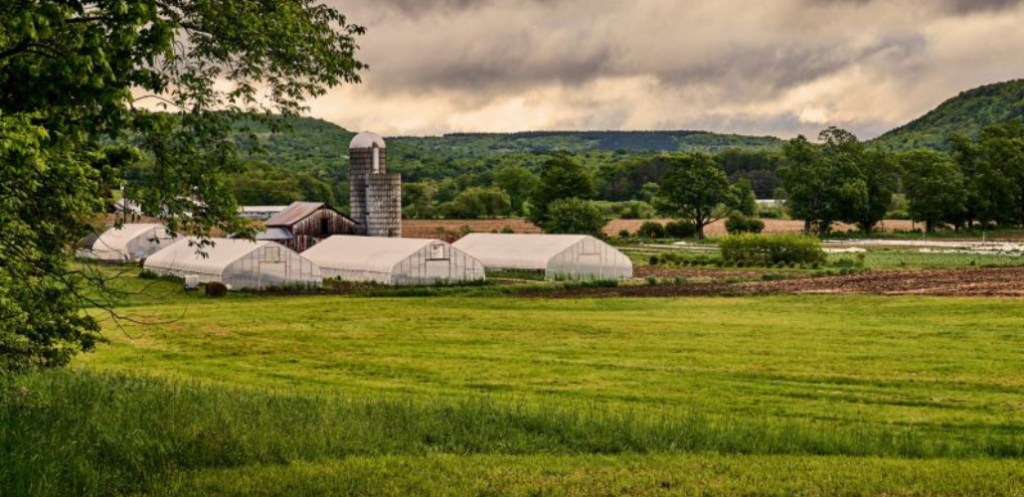 Photo of Catskills Agrarian Alliance high tunnels and food production