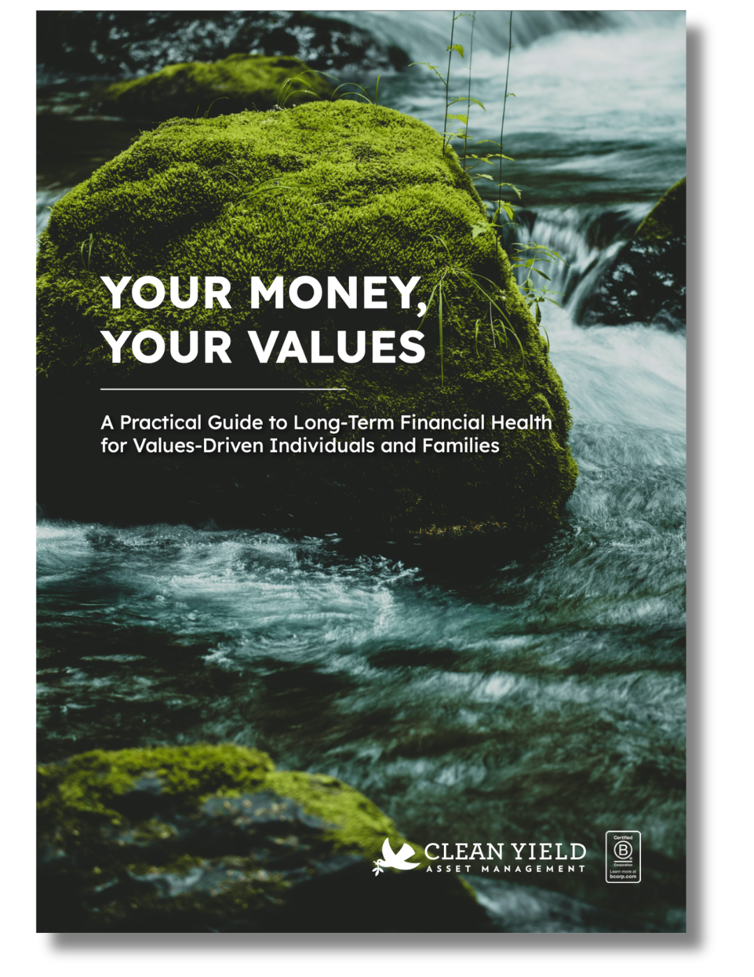 Cover - Financial Health guide